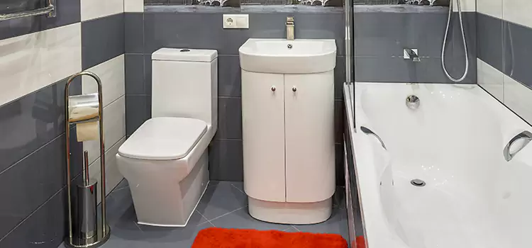 Hansgrohe Shaving Mirror Bentonville